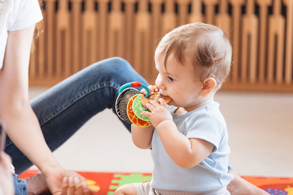 Animal Flash Cards Silicone Teether Toy Ring for Babies, Multicolor Animals